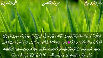 سورة القصص كاملة بصوت الشيخ ياسر الدوسري