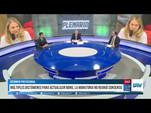 DTV Plenario con