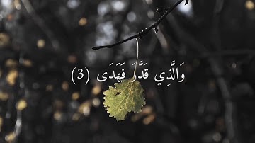 سورة الأعلى🕋 بصوت الشيخ عبد الرحمن مسعد ⭐🌿