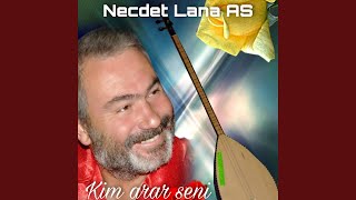 Kim Arar Seni Resimi