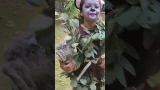 fancy dress...eucalyptus tree with koala