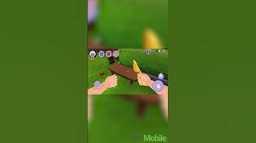 Capybara Simulator: My pets Gameplay #krumobile