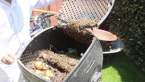 He had bees in his compost bin.