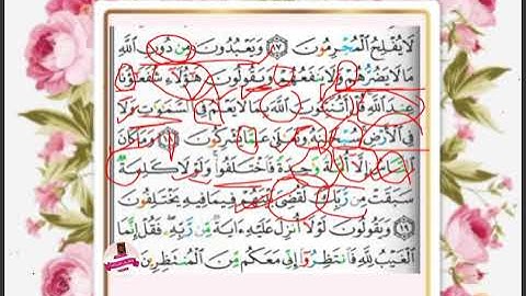 تجويد مبسط،استخراج أحكام وتلاوة آيات ١٨_٢٠ سورة يُونُس🐳