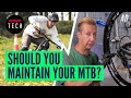 Do You Really Need To Maintain Your Mountain Bike? | GMBN Tech Investigates...