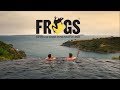 Frogs voyages votre agence locale nouvellezlande