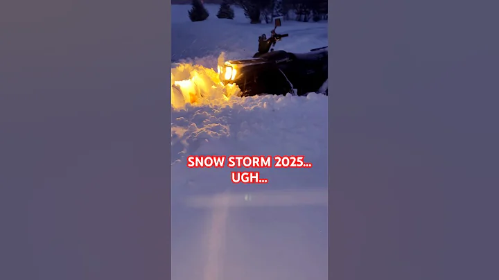 Snow Storm 2025 #fypシ #shorts #foryou #snow #snowstorm #4wheeler #plowing #weather #storm #shovels