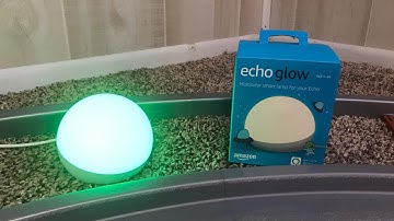 Amazon Echo Glow Unboxing