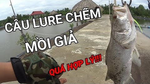 Địa điểm Câu cá chẽm ở Cần Giờ QUÁ HỢP LÝ và cái kết GIẬT SƯỚNG TAY!!! - logunN Fishing Channel