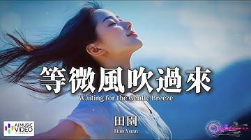 【高清MV】田園 - 等微風吹過來【Pinyin + Eng Sub | AI音樂視頻 | 繁體拼音英文動態字幕】 Tian Yuan 【田园 - 等微风吹过来】
