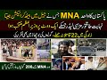 Most powerful mna  maulana azam tariq  famous religious leader  short biography  facts  sp