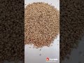 فوائد الكزبره لمرضى السكر فوائد الكزبره لمرضى السكر