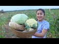 Harvesting vegetables from the farm for cooking / ''Chab chhay'' soup cooking / Cooking with Sreypov