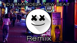 DJ AMANDELA NEW BEAT REMIX FUNKY