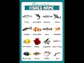 Types Of Fish Vocabulary In English Learnenglish Englishvocabulary mp3