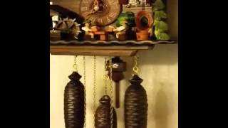 11/30/15 BEER DRINKER'S CHALET CUCKOO CLOCK
