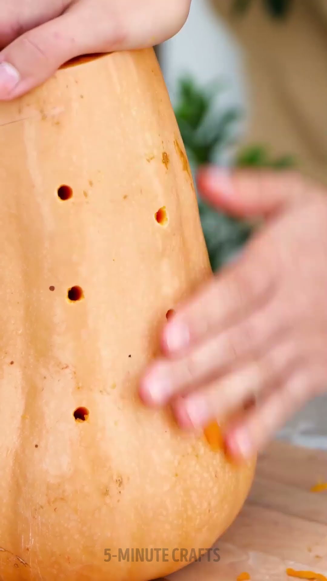Helpful hacks to grow your perfect garden ? #shorts #planting #garden #diy