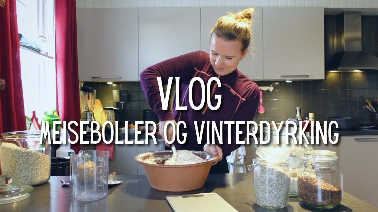 Vlog - Meiseboller, vinterdyrking og rengjøring