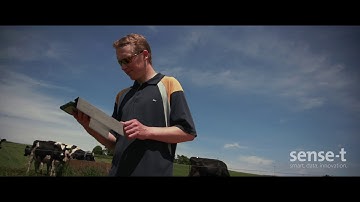 Sense-T Smart Data Innovation