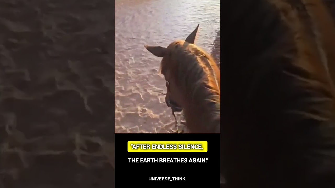 When Nature Strikes Back: Man Witnesses Water Return After Drought | Emotional CinematicScen 