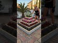 Neighbors Keep Asking How I Built This Planter 😳