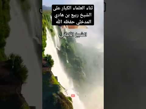 ثناء العلماء الكبار على الشيخ ربيع بن هادي المدخلي حفظه الله وأطال الله بعمره في طاعته المداخلة