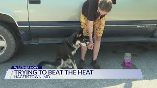 Folks in Hagerstown have strategies to beat heat humidity