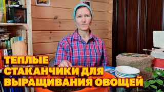 МОЙ САМЫЙ УДАЧНЫЙ СПОСОБ ВЫРАЩИВАНИЯ РАННИХ ОГУРЦОВ КАБАЧКОВ В ДЖУТЕ@obovsemsmarusya