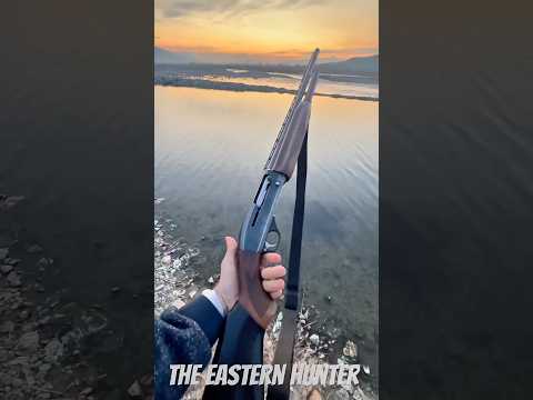 Real Steel Russian Baikal 153 Review Hunting Shorts