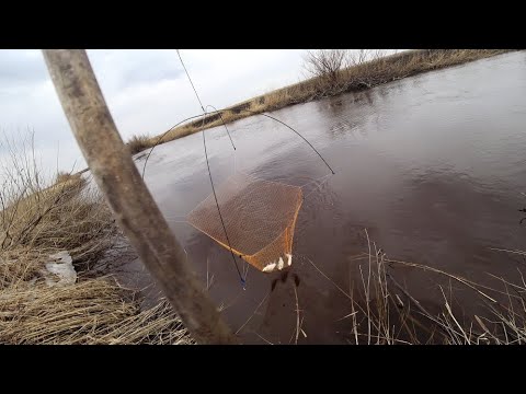 Рыбалка на паук подъмник. Холода не уходят, но рыбка подходит.