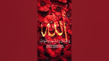 #ياسر_الدوسري #قران_كريم #تلاوة_خاشعة #shortvideo #اكسبلور