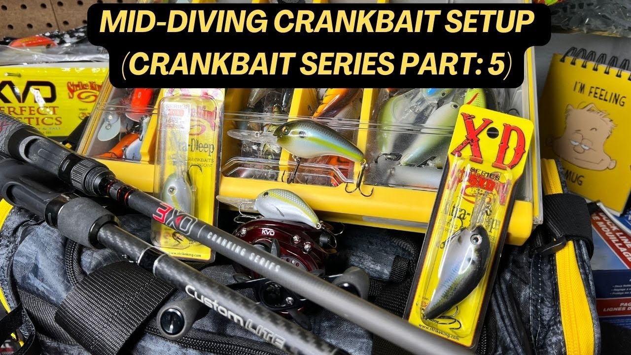 The Mid-Diving Crankbait Setup!! [Crankbait Series Part: 5]