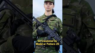 Vz25 Slovakias New Camouflage Pattern