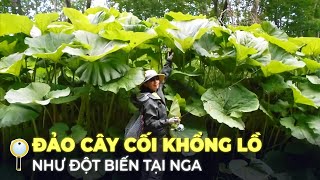 Porno yosh qizi otasi bilan Yetuklar porno videolar