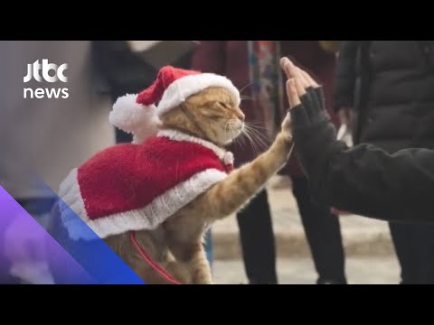 &amp;#<strong>39</strong>;집콕 크리스마스&amp;#<strong>39</strong>; <strong>즐길</strong> 감성 영화 3편 소개 / JTBC 아침&amp;amp; 라이프