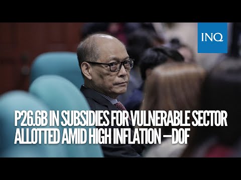 P26.6B in subsidies for vulnerable sector allotted amid high inflation —DOF
