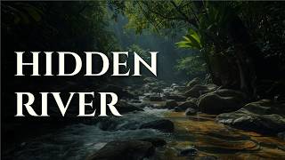 The Hidden River in the Amazon | Relaxing Story for Sleep
