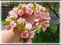 Нежный ободок из фоамирана своими руками  DIY foamiran flowers