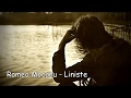 Romeo Mocanu - Liniste