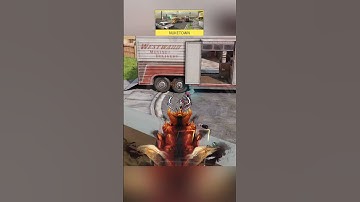 The Most Popular Corners in Nuketown (And Why They Matter)