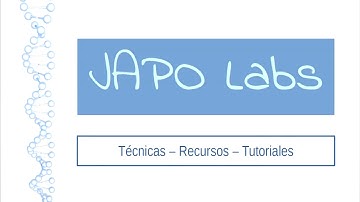 Java 8 | Netbeans 8.2 | Cómo crear una Aplicación Java