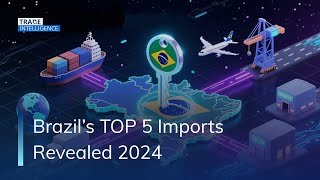 Brazil $262 Billion Import Products Revealed #economy #fuel #shortsfeed #importexportchina #money