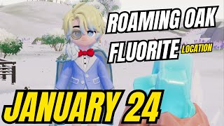 January 24, 2026 - Roaming Oak Tree & Flawless Fluorite Location! Heartopia