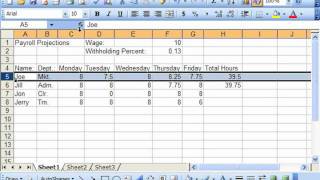Famous Excel 2003 Tutorial Relative References & Absolute References Microsoft Training Lesson 5.1 Net Worth