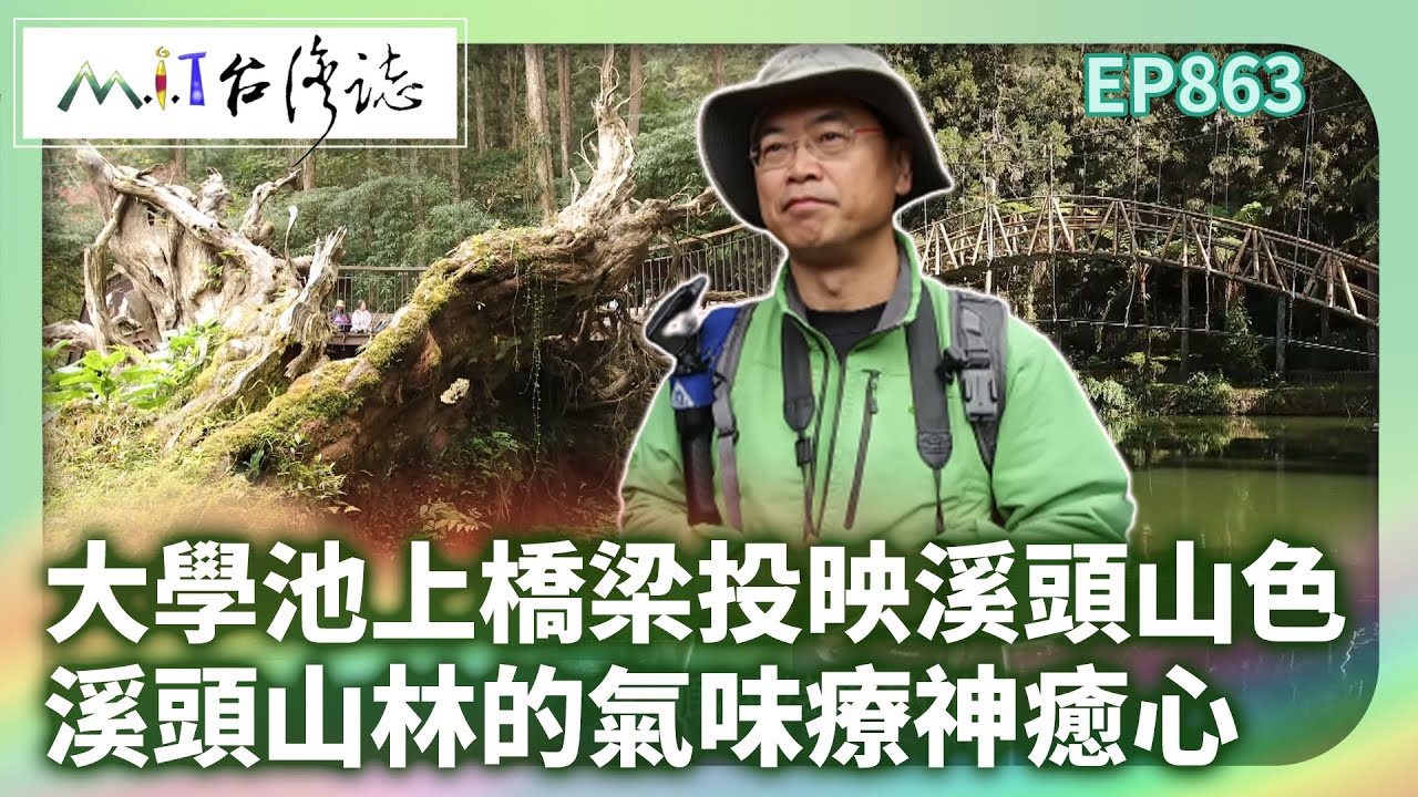 大學池上一彎橋梁投映溪頭山色 溪頭山林的氣味療神癒心｜南投縣鹿谷鄉 麥覺明【