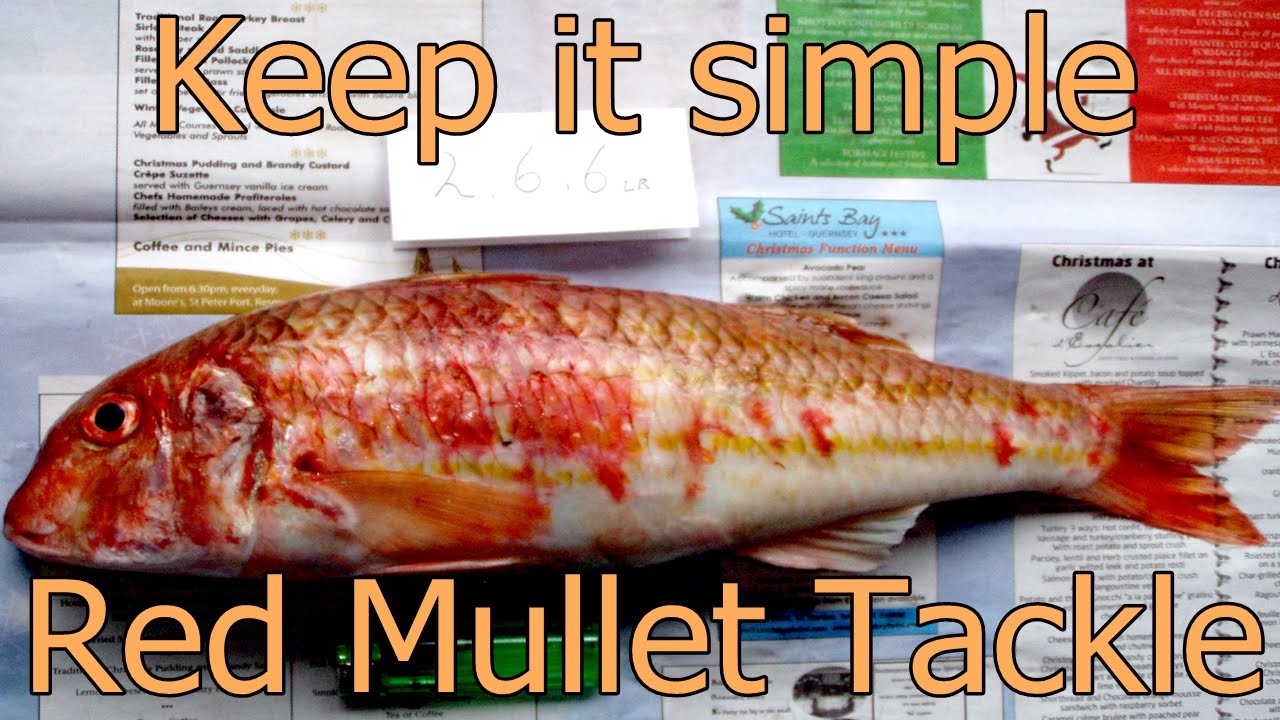 Red mullet tackle 