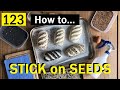 123: FIVE Ways to Stick SEEDS to you Bread Dough so they Don't Fall Off - Bake with Jack