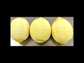 Zesteur Canneleur agrumes  YUZU Citrons