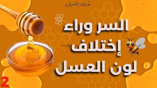 السر وراء إختلاف لون العسل، أفضل أنواع العسل الحر، فوائد العسل، الحلقة 2