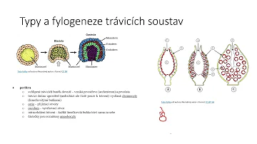 Co se týká roztočů v bytě?